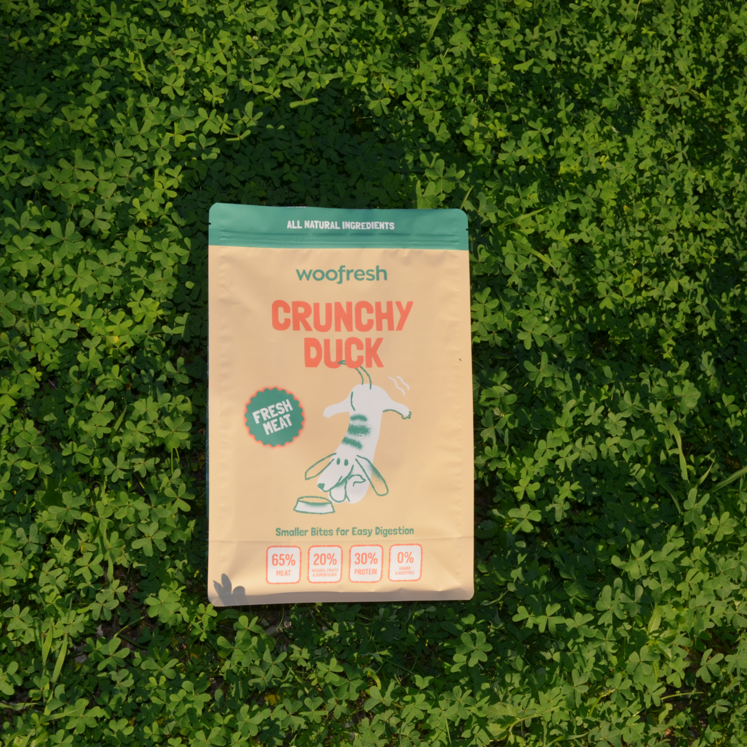 duck-crunchy-maingreen