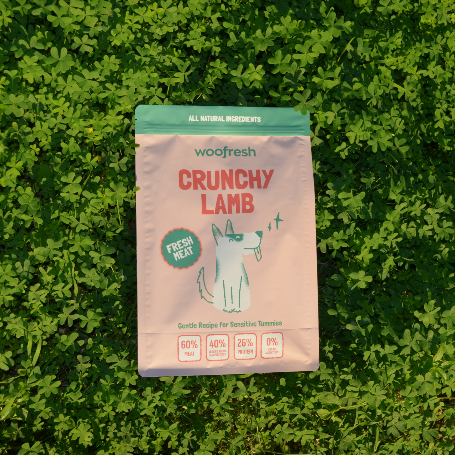 lamb-crunchy-maingreen